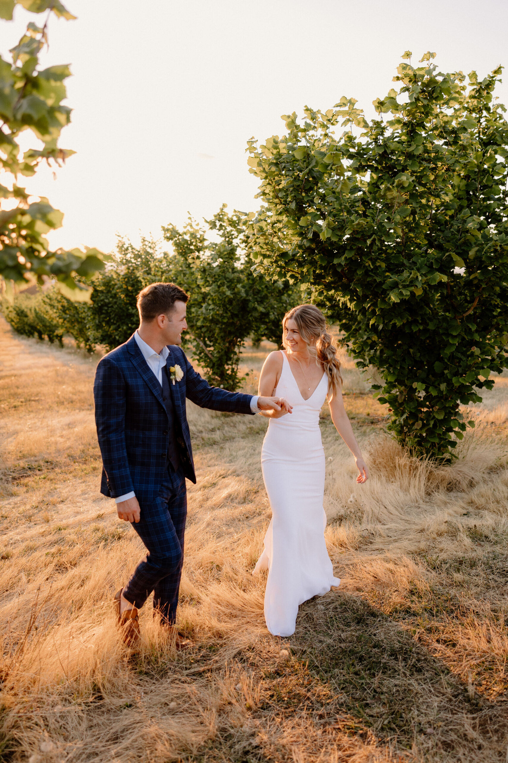 A bride and groom taking sunset portraits in an Oregon vineyard.